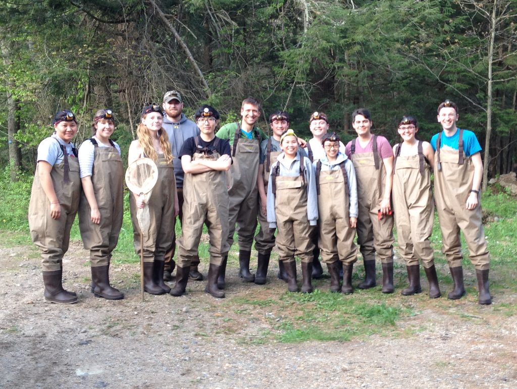 Field Herpetology | Jockusch Lab - Groups Ophidian Herpetology