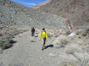Desert wash leading to salamander habitat